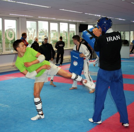 IMG 7855 2